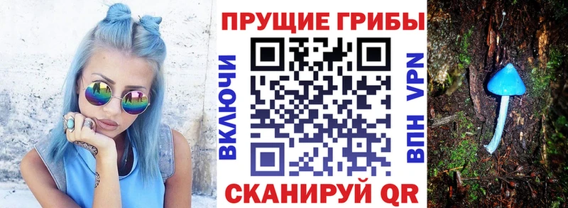 Галлюциногенные грибы мухоморы  Купить закладки  Среднеуральск 